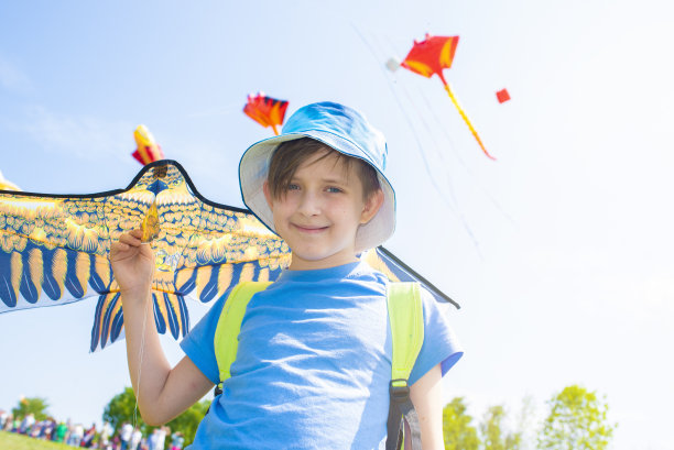男孩在夏天放风筝图片下载