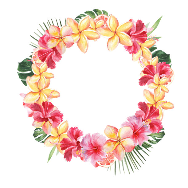明亮的热带花朵的圆形框架。用手在白色背景上画水彩画。图片下载