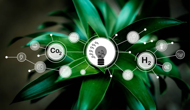 减少二氧化碳排放概念。清洁友好的环境，不排放二氧化碳。放大镜玻璃内的二氧化碳减排图标，用于碳信用，以限制气候变化导致的全球变暖图片下载