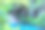 森林里的小湖。数字绘画插画艺术。图片下载