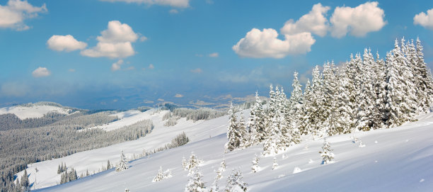 清晨，冬天，平静的山景与冷杉林和棚舍群在斜坡上(喀尔巴阡山脉，乌克兰)。图片下载