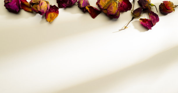 秋天的背景背景与干玫瑰花瓣图片下载