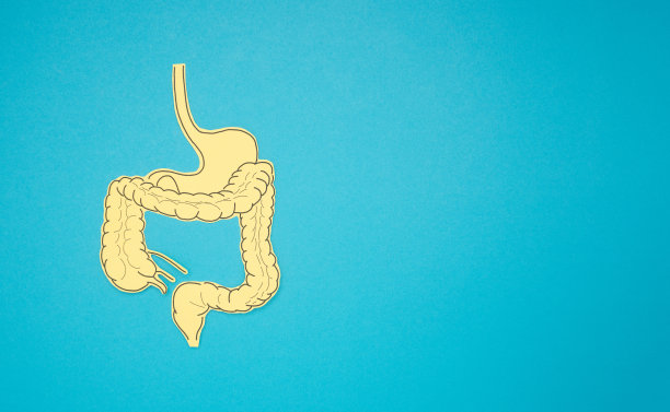 蓝色背景上的黄色纸肠俯视图图片下载