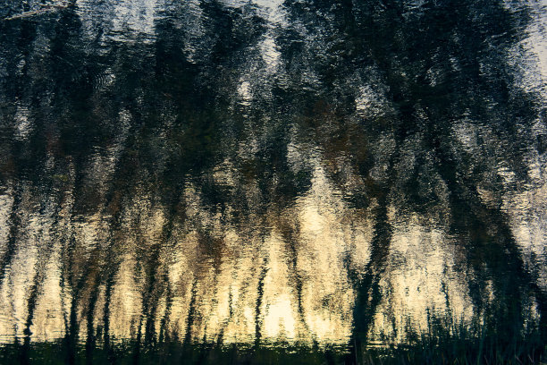 河中树木的倒影，微风在河面上掀起了小小的涟漪，夕阳给这张抽象的照片增添了美丽的色彩图片下载