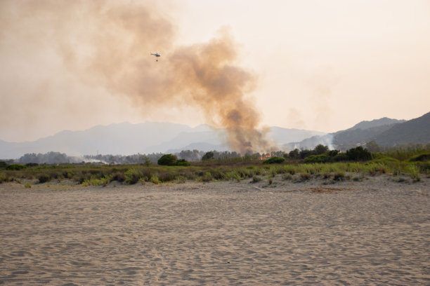 森林大火的烟雾在撒丁岛的海滩上升起。全球变暖。自然界的火。图片下载