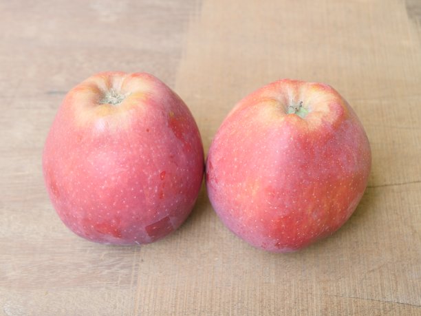 两个苹果俯视图图片下载