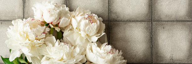 花束白色的牡丹在灰色的背景在瓷砖的形式。美丽的卡片，母亲节快乐或妇女节贺卡。平的。前视图。时尚的花香问候，复制空间。图片下载