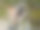 鸟瞰崎岖不平的岩石地形。西班牙Arenillas的小丑。图片下载