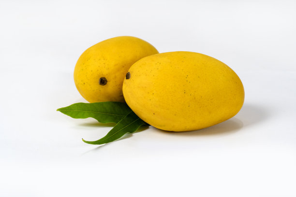 白色背景上带有绿叶的成熟芒果图片下载