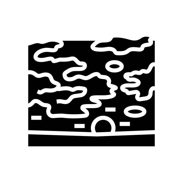 天空日落太阳夏天阳光符号图标矢量插图图片下载