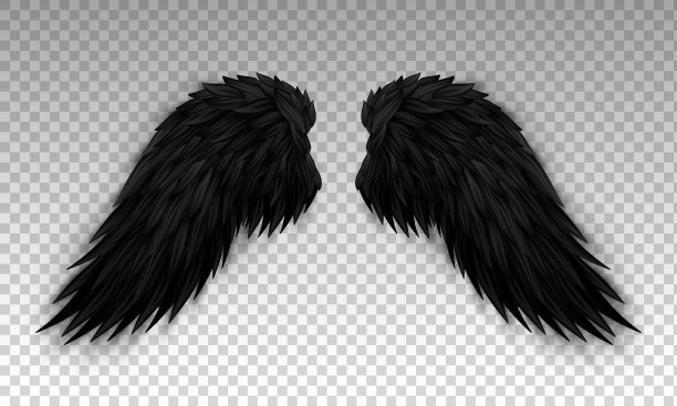 现实的黑色魔鬼翅膀隔离在透明的背景。图片下载
