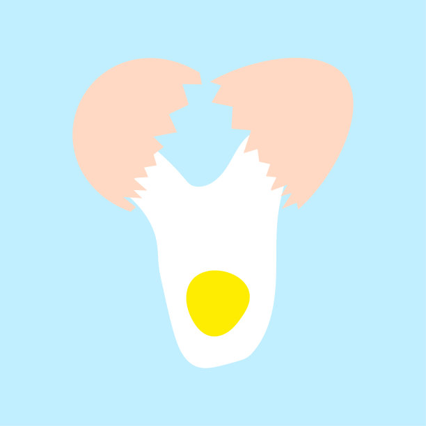 打有蛋黄的鸡蛋。矢量插图。每股收益10。图片下载