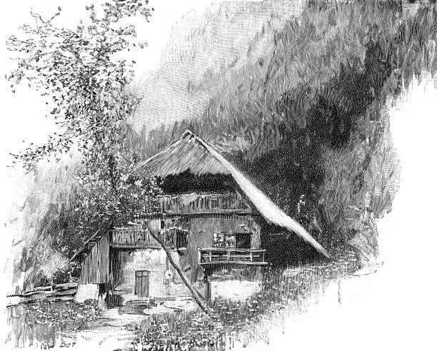 黑森林农场图片下载