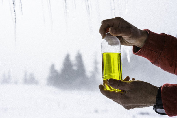冬季自然手持运动饮料瓶。图片下载
