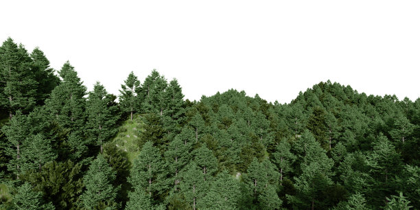 真实的山与森林。图片下载