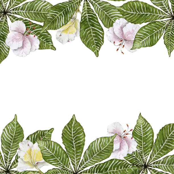 花和栗叶的框架。水彩插图。高质量的。图片下载
