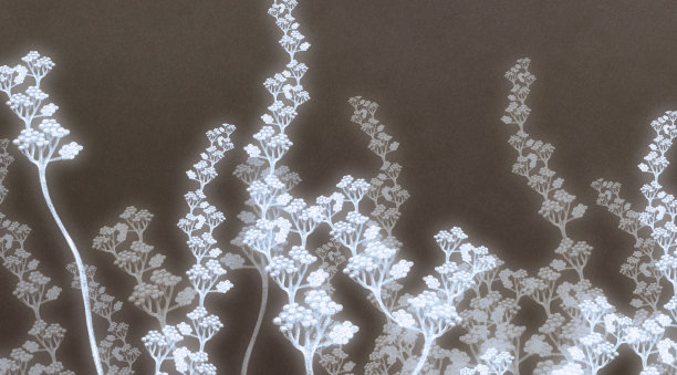 无标题的艺术品图片下载