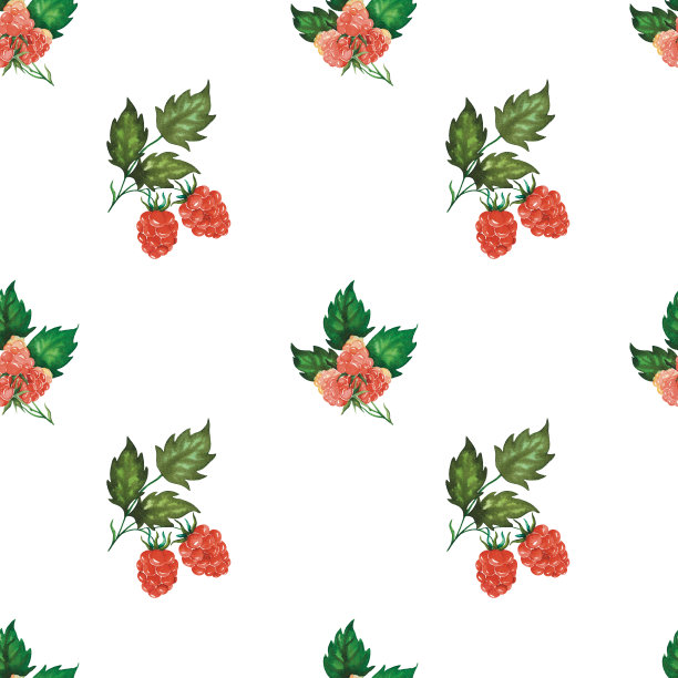 无缝水彩画覆盆子图案与浆果，叶子手绘孤立的白色。用于纺织品、包装纸、背景图片下载