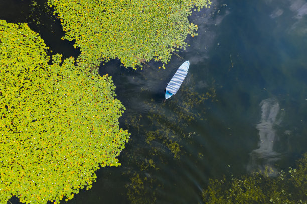 睡莲湖上的传统船。平民，德尼兹利，土耳其图片下载