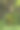竹林中有青苔的佛头-库存照片图片下载