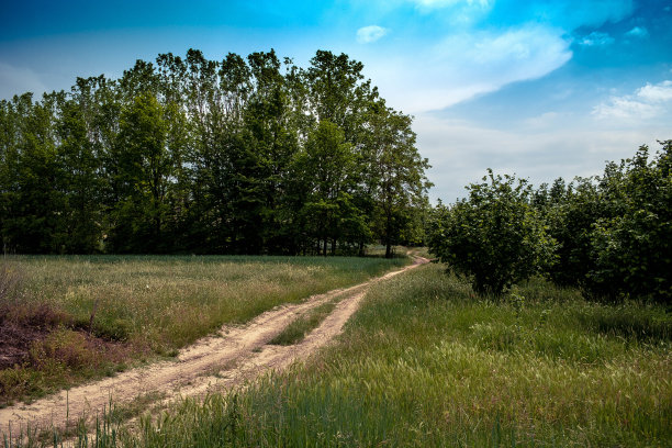 在阿斯蒂地区皮埃蒙特朗格的阿斯蒂Costigliole d'Asti美丽的春天景观图片下载