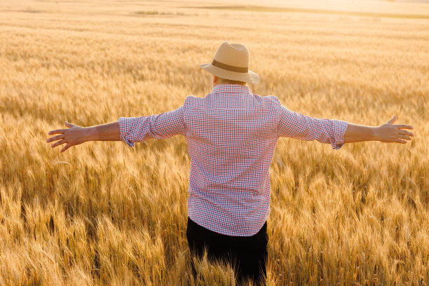 心满意足的戴着帽子的农民在阳光普照的麦田里播种，欣赏着乡村风光图片下载