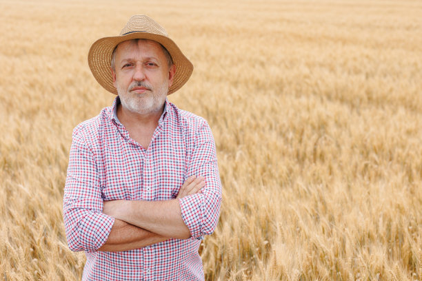 一位成功的农艺师在农村现场监督小麦的生长图片下载