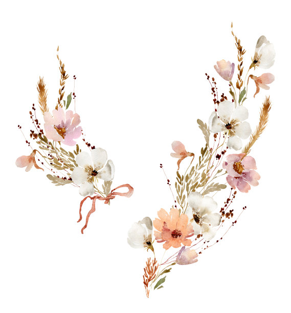 野花插图图片下载