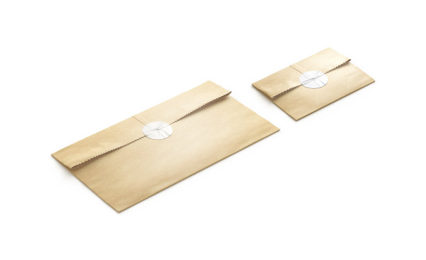 空白工艺长方形纸袋与白色贴纸的模型，孤立图片下载