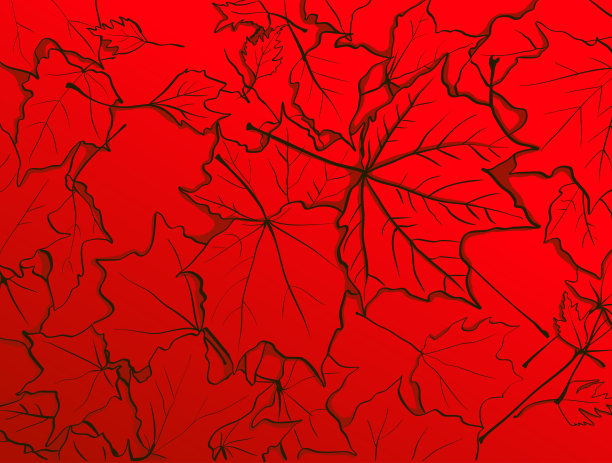 地上的枫叶是红色的图片下载