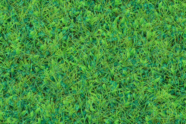 从上面看长满青草的草地。图片下载