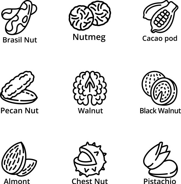 坚果食品图标设置轮廓风格图片下载