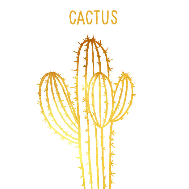 手绘金箔仙人掌孤立。热带花卉夏季背景。党传单模板。设计元素的销售横幅，海报，标签和邀请卡。图片下载