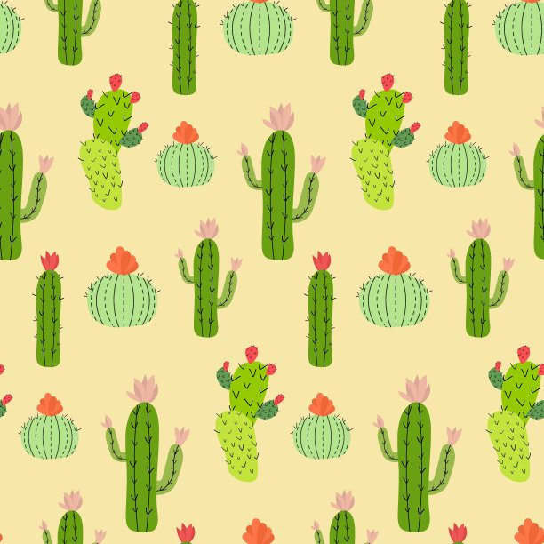 模式和仙人掌。矢量插图在彩色背景。图片下载