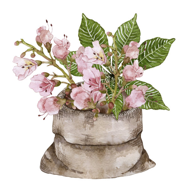 一束花和栗叶装在棕色帆布袋里。水彩插图。高质量的图片下载