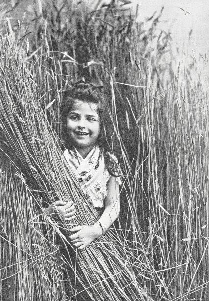 看，我在这里，小麦收获的时候躲在这里的女孩，手里拿着一捆麦子图片下载