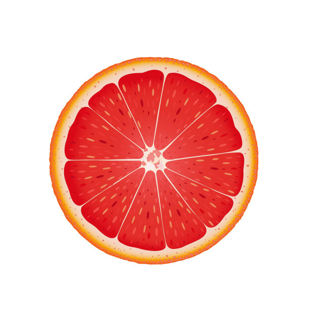 柚子切片，平面矢量插图孤立在白色背景上图片下载