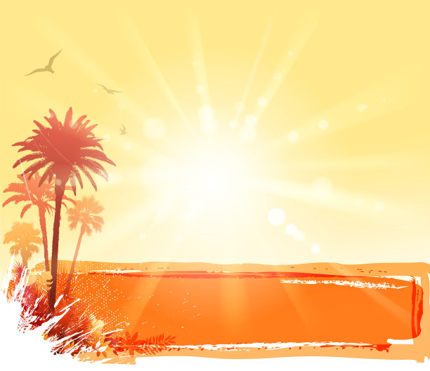 阳光明媚的植物的横幅图片下载