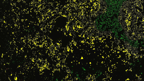 多色的抽象背景图片图片下载