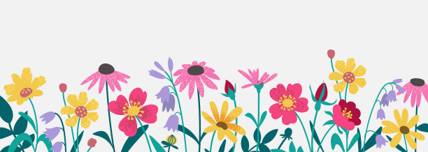 野花背景图片下载