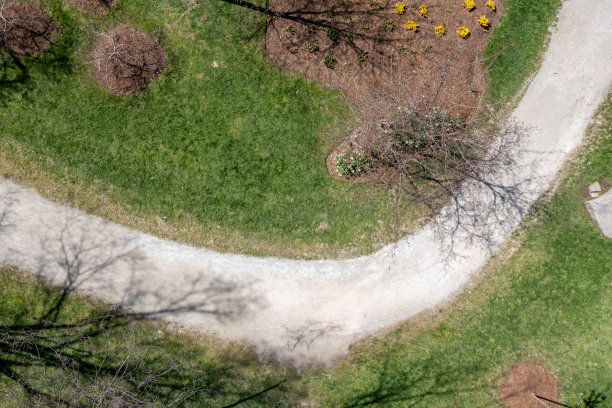 鸟瞰樱花在卡里亚公园，密西索加，加拿大图片下载
