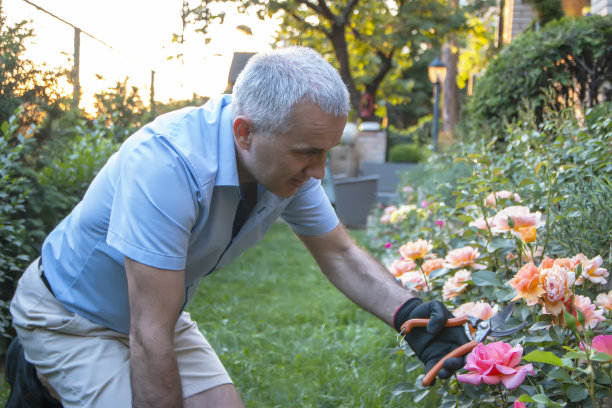 一个男人在他的后院种花图片下载