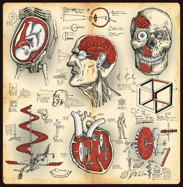 达芬奇风格的古董画图片下载