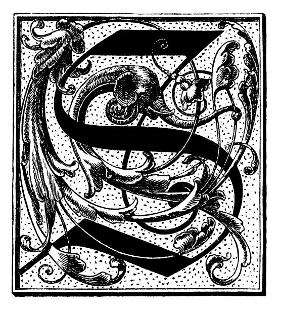 华丽的字母S图片下载