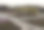 屋顶花坛与摩天大楼背景图片下载