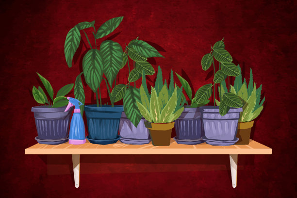 客厅的架子上放着植物图片下载