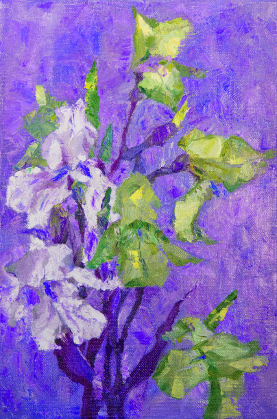 插图艺术品油画花卉景观盛开的鸢尾花图片下载