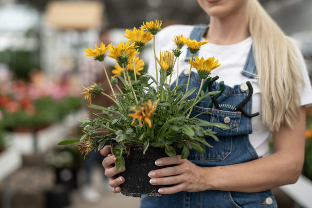 一个快乐的金发女人拿着温室里的花盆看着镜头图片下载