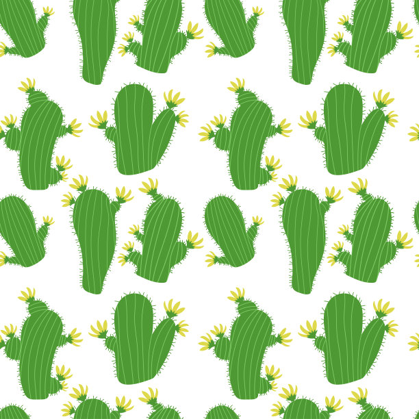 仙人掌模式图片下载