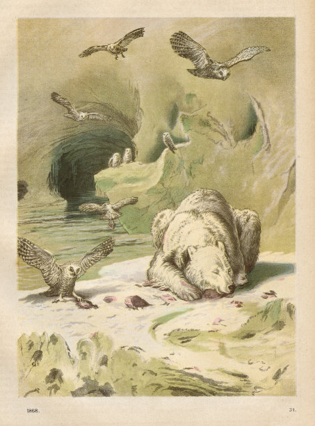 1868年的北极色谱仪图片下载